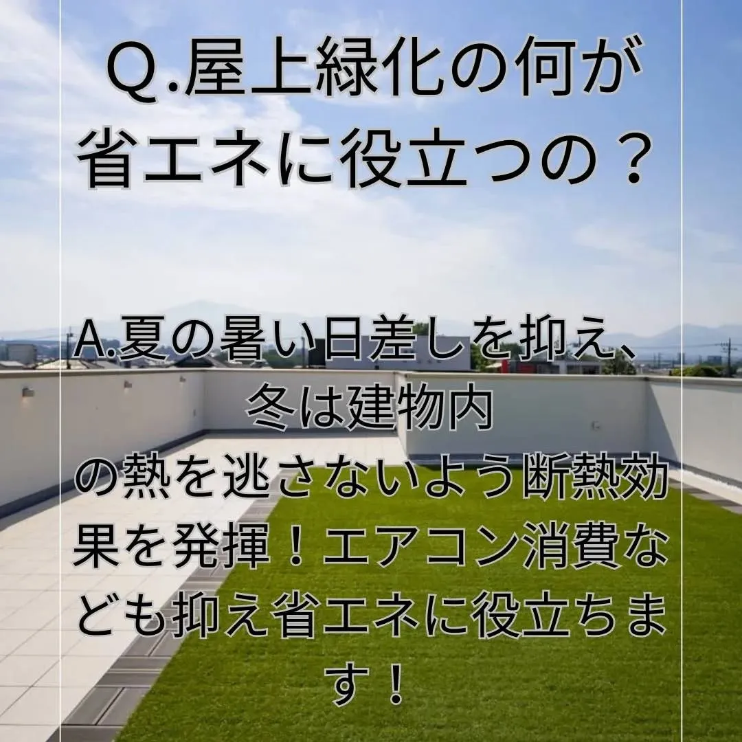 アスファルトの道路や道ばかりで