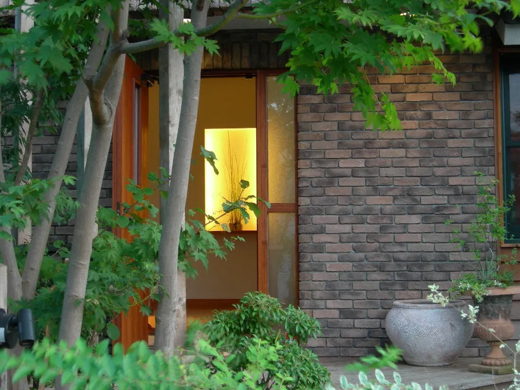 省エネ住宅に効果的な観葉植物とグリーンカーテンの活用法